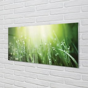 Obraz na skle Tráva slnko kvapky 125x50 cm