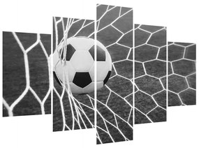 Futbalová lopta v sieti (150x105 cm)