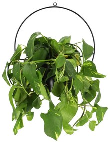 Čierny nástenný držiak na kvetináč Esschert Design Planter