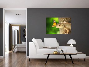 Obraz - Jašter (90x60 cm)