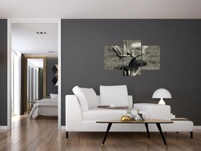 Obraz - Jeleň (90x60 cm)