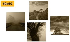 Set obrazov tajomná príroda v sépiovom prevedení Varianta: 4x 40x40