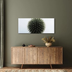 Obraz kvetinové gule (120x50 cm)