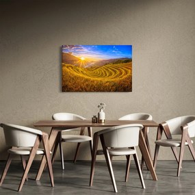 Obraz - Ryžové terasy vo Vietname (90x60 cm)