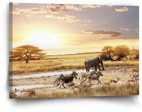 Sablio Obraz Safari - 60x40 cm