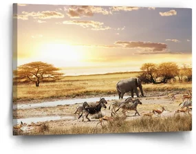 Sablio Obraz Safari - 60x40 cm