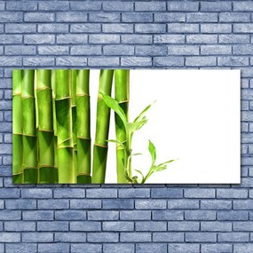 Obraz na akrylátovom skle Bambus rastlina 120x60 cm