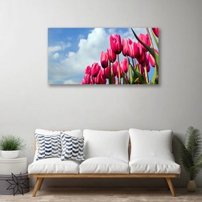 Obraz na plátne Tulipán 100x50 cm