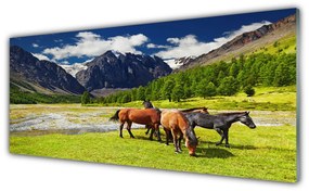 Obraz plexi Hory stromy kone zvieratá 125x50 cm