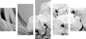 5-dielny obraz orchidea na plátne v čiernobielom prevedení - 100x50