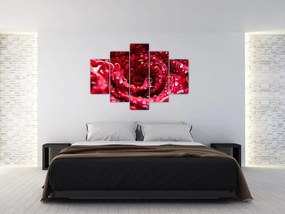 Obraz kvetu červenej ruže (150x105 cm)