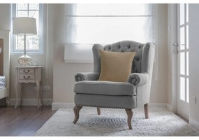 Dekorstudio Luxusná obliečka na vankúš VELVET v béžovej farbe
