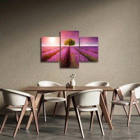 Obraz poľa s levanduľami (90x60 cm)
