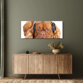 Obraz psa so slúchadlami (120x50 cm)