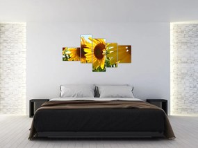 Obraz slnečníc na stenu