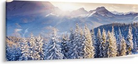 Obraz - Horská krajina v zime (120x50 cm)