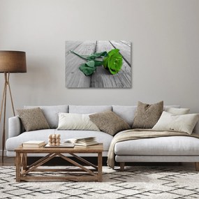 Sklenený obraz - Zelená ruža (70x50 cm)