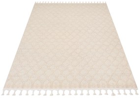 PROXIMA.store - Minimalistický koberec SAGE - RIO LOOP ROZMERY: 200x300