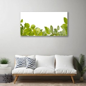 Skleneny obraz Listy príroda rastlina 125x50 cm