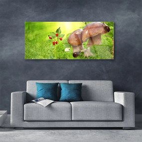 Obraz na akrylátovom skle Huby divoké jahody 125x50 cm