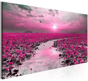 Obraz - Lilies and Sunset (1 Part) Narrow Veľkosť: 150x50, Verzia: Na talianskom plátne