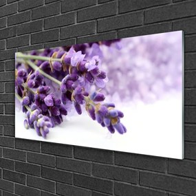 Obraz na skle Kvety 100x50 cm