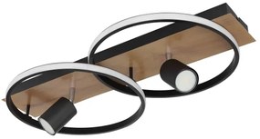 Globo 67309-36 - LED Stropné svietidlo DANNY 2xLED/18W/230V + 2xGU10/35W/230V