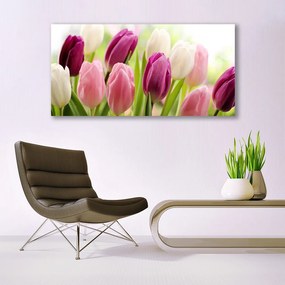 Obraz plexi Tulipány kvety príroda lúka 120x60 cm