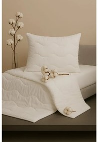 Letný set vankúša a paplóna Medic – 100% bavlna, antialergický Veľkosť: 100x135/40x60 cm