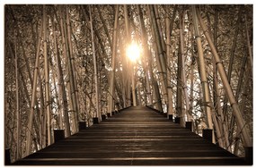 Obraz na plátne - Drevená promenáda v bambusovom lese 1172FA (75x50 cm)