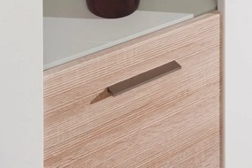 Vysoká vitrína Caracas typ 02, dub / biely lesk, s osvetlením