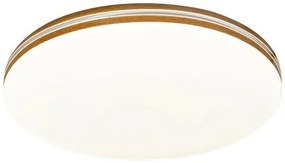 Rabalux OSCAR2 LED stropné svietidlo 71173