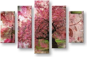 Afternoon at park / Tom Loris 003N5