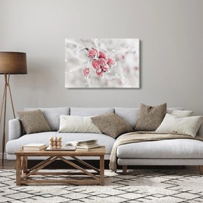 Obraz - Zamrznuté plody (90x60 cm)