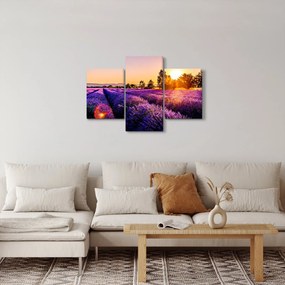 Obraz levanduľového poľa (90x60 cm)