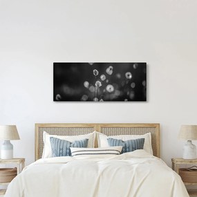 Obraz - Cottongrass na lúke (120x50 cm)