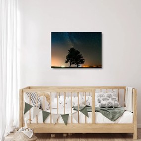 Sklenený obraz nočnej oblohy so stromami (70x50 cm)