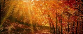 Obraz jesenného lesa (120x50 cm)