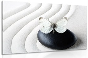 Obraz biely motýľ na čiernom kameni - 90x60