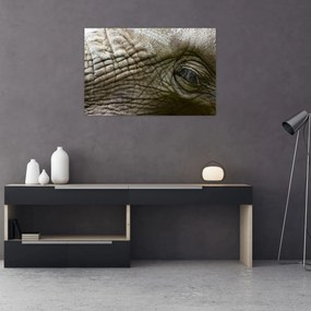Obraz - Detailné fotografie starého slonieho oka (90x60 cm)