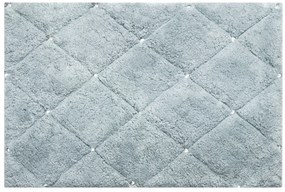 PREDLOŽKA DO KÚPEĽNE CHIC2 50X70 CM STRIEBORNÁ