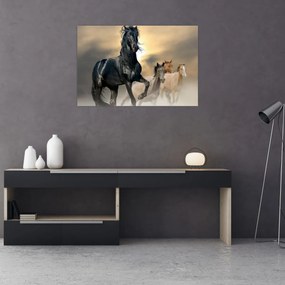 Obraz - Kone (90x60 cm)