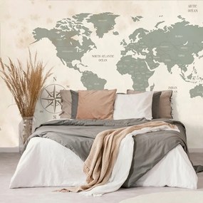 Samolepiaca tapeta decentná mapa sveta - 225x150