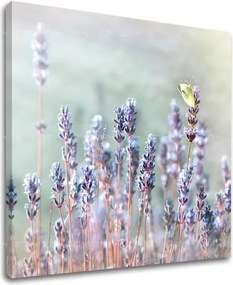 Obraz na stenu KVETY KV077E12 - 50x50 cm