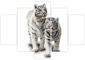 Obraz - Biely tiger (150x105 cm)