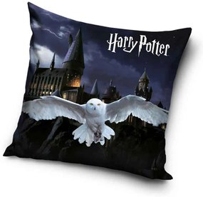 DETSKÝ DEKORAČNÝ VANKÚŠ HARRY POTTER 40X40 CM VZOROVANÁ