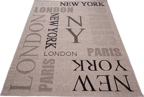 TA Koberec 20224 Strieborná / čierna