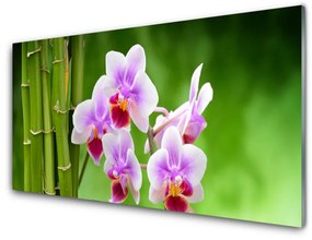 Skleneny obraz Bambus orchidea kvety zen 140x70 cm