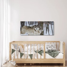 Obraz - Vlci v zime (120x50 cm)