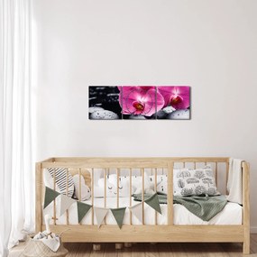Obraz - Ružové orchidey s palmovým listom (s hodinami) (90x30 cm)